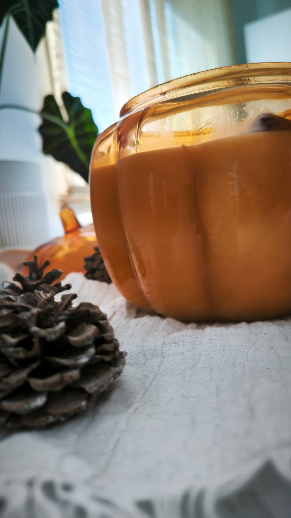 Calabaza Naranja XXL (¡Elige tu opción otoñal favorita!) - My Essentials by FARA